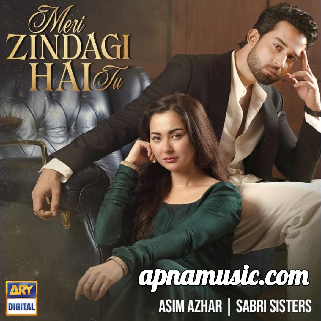 Pakistani Drama Music