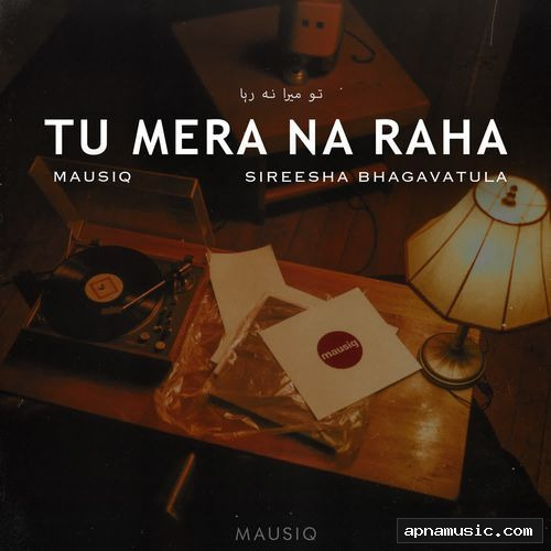 Tu Mera Na Raha