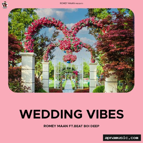 Wedding Vibes