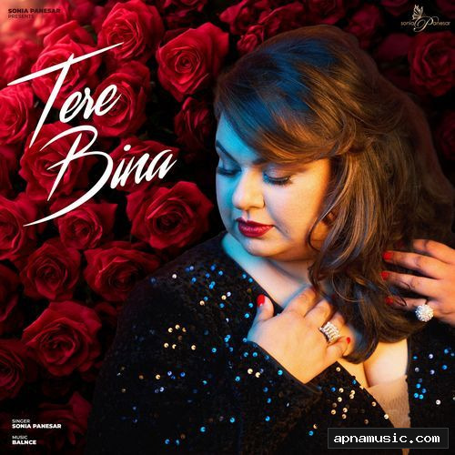 Tere Bina
