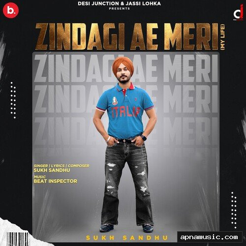 Zindagi Ae Meri