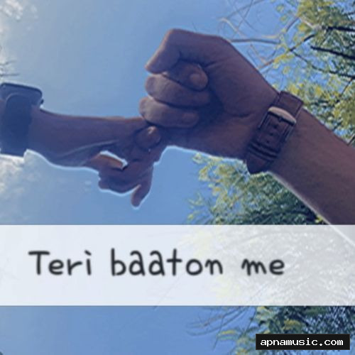 Teri baaton me