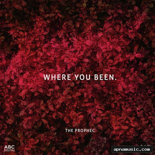 Where You Been